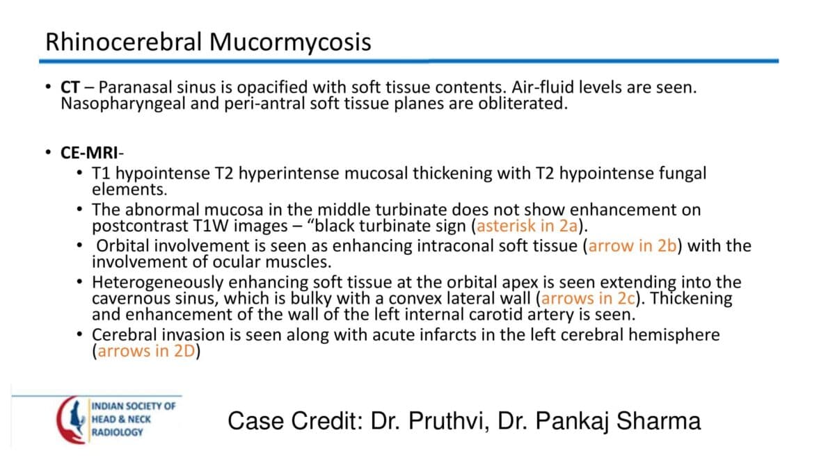 Case 63 thumbnail 3