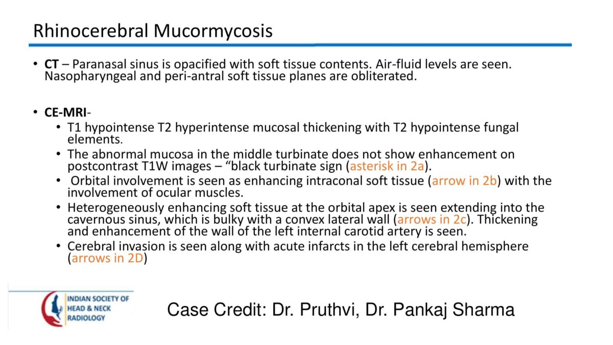 Case 63 thumbnail 3