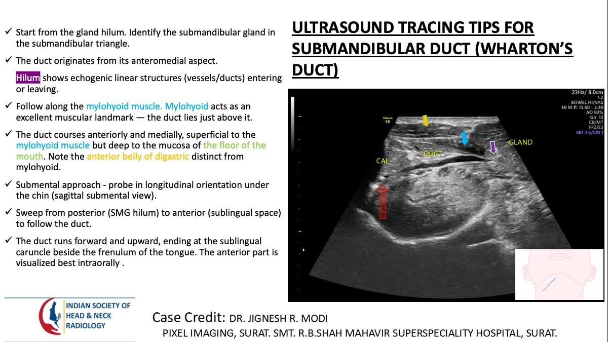 Case 172 thumbnail 3
